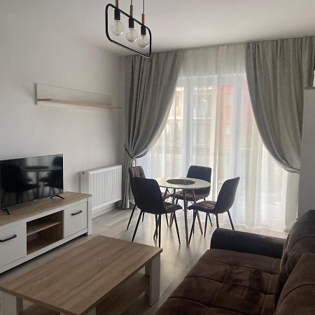Divany Apartaments - Coresi Mall ブラショフ エクステリア 写真
