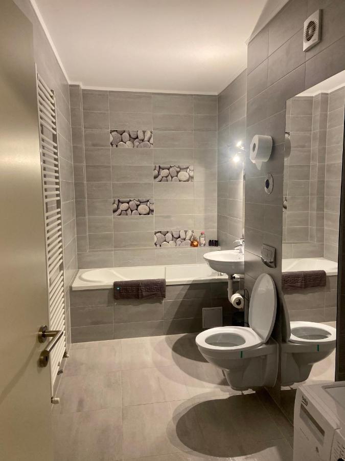 Divany Apartaments - Coresi Mall ブラショフ エクステリア 写真